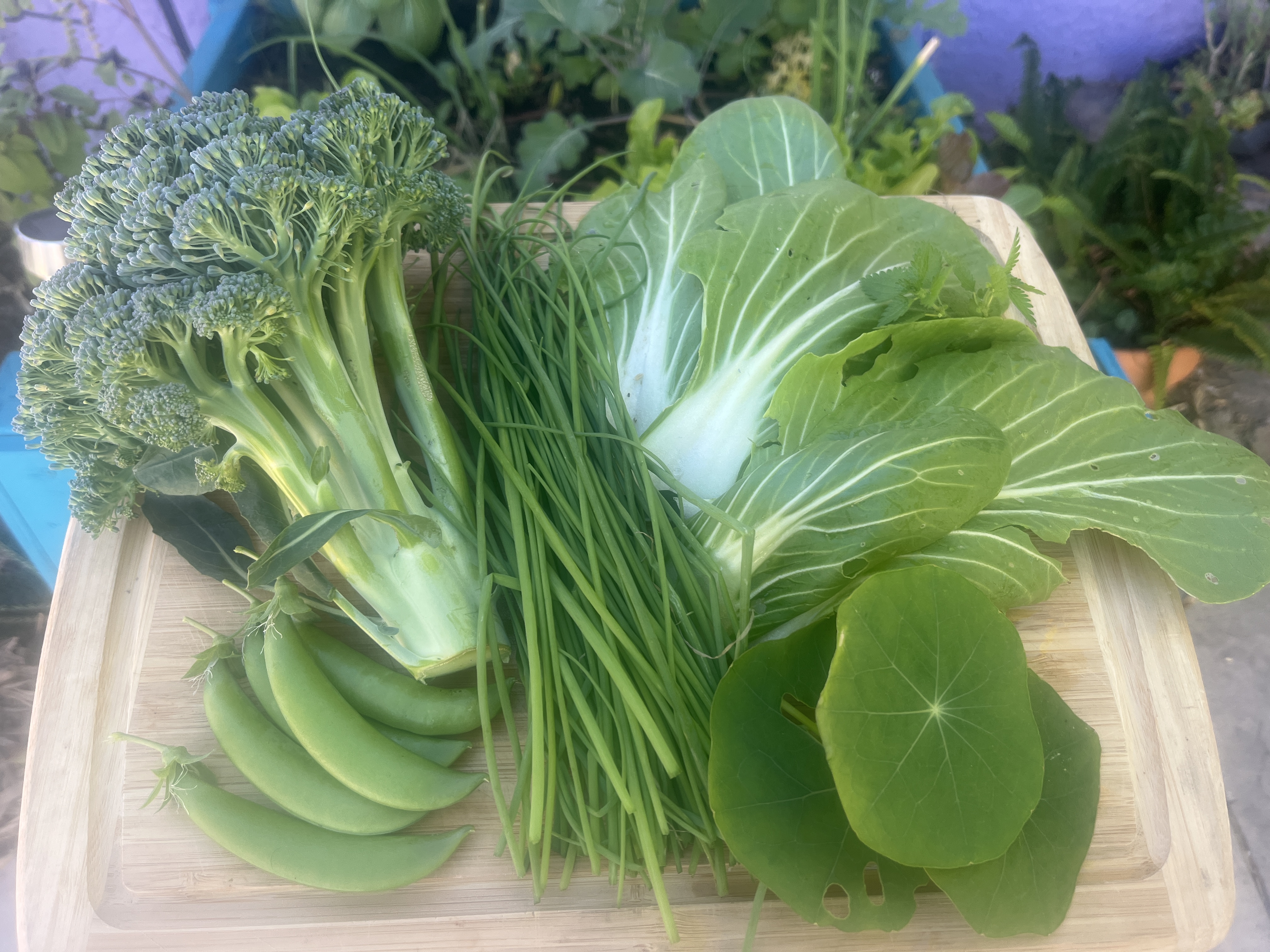 Harvest from the garden.